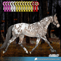 Horse Color:White Spotted Bay Dun Appaloosa Rabicano 