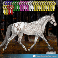 Horse Color:White Spotted Bay Dun Appaloosa Rabicano 