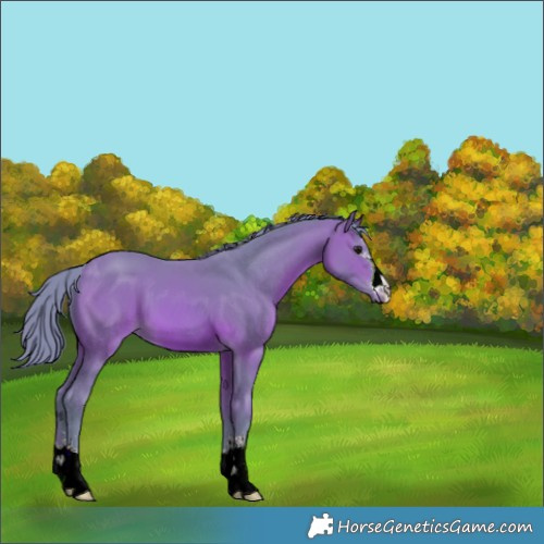 Horse Color:Watercolor Brown 