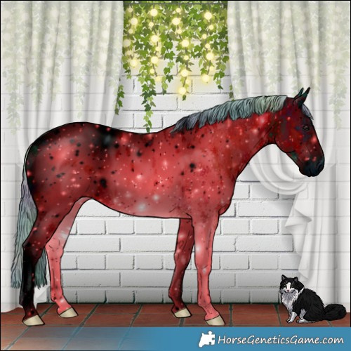 Horse Color:ERROR: UNKNOWN ANOMALY