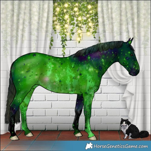 Horse Color:ERROR: UNKNOWN ANOMALY