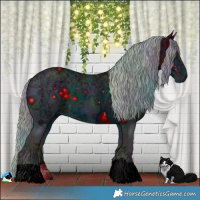 Horse Color:ERROR: UNKNOWN ANOMALY