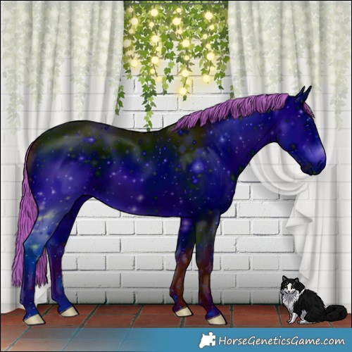 Horse Color:ERROR: UNKNOWN ANOMALY