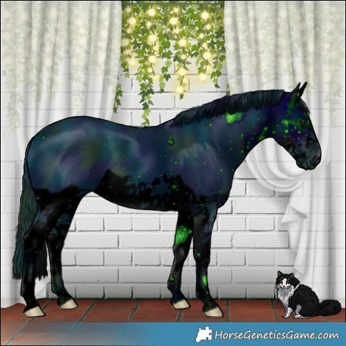 Horse Color:ERROR: UNKNOWN ANOMALY