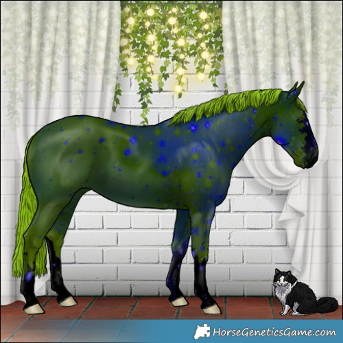 Horse Color:ERROR: UNKNOWN ANOMALY