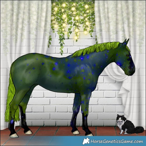 Horse Color:ERROR: UNKNOWN ANOMALY