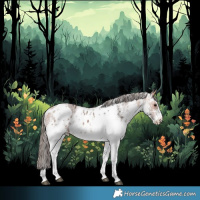 Horse Color:White Spotted Bay Merle Skewed Appaloosa 