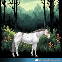 Horse Color:White Spotted Bay Merle Skewed LP Spotted 
