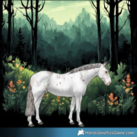 Horse Color:White Spotted Bay Merle Skewed Appaloosa