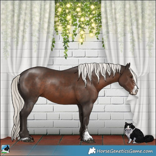 Horse Color:Liver Chestnut Mushroom Sabino Rabicano 
