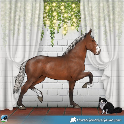 Horse Color:Liver Chestnut Mushroom Sabino Rabicano 