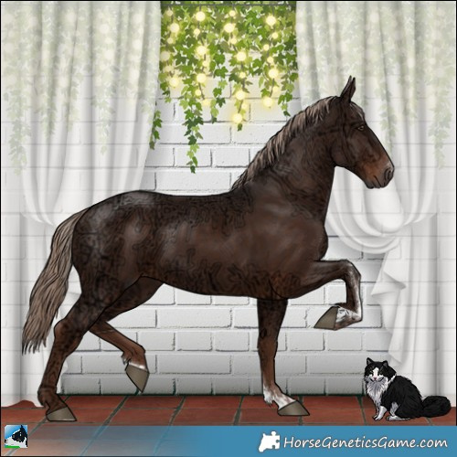 Horse Color:Liver Chestnut Ice Sabino Rabicano