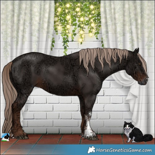 Horse Color:Liver Chestnut Ice Sabino Rabicano 