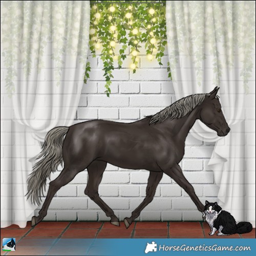 Horse Color:Liver Chestnut Mushroom 