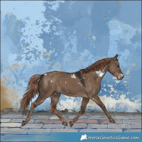 Horse Color:White Spotted Liver Red Dun 