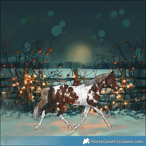 Horse Color:White Spotted Liver Chestnut Tobiano 