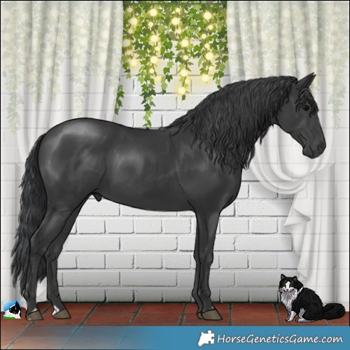 Horse Color:Platinum Black Rabicano 