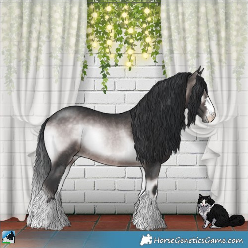Horse Color:Platinum Brown Onyx Rabicano