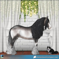 Horse Color:Platinum Brown Onyx Rabicano 