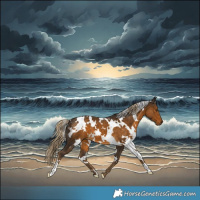 Horse Color:White Spotted Chocolate Palomino 