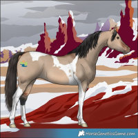 Horse Color:Bay Dun Tobiano 