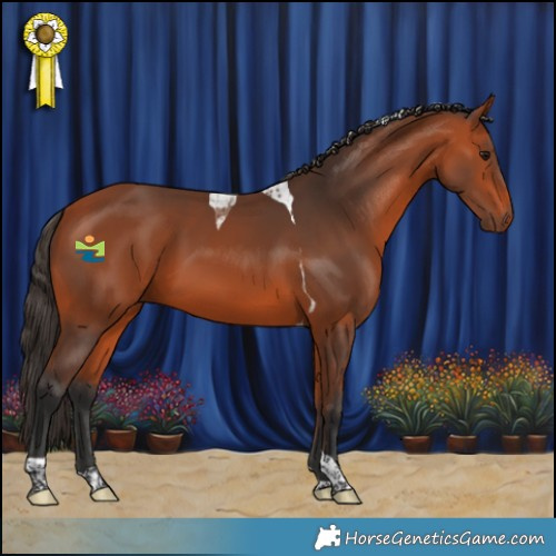 Horse Color:Bay Tobiano 