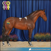 Horse Color:Bay Tobiano