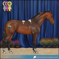 Horse Color:Bay Tobiano 