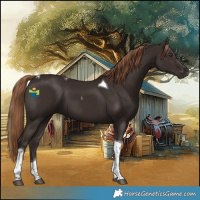 Horse Color:Liver Chestnut Tobiano 