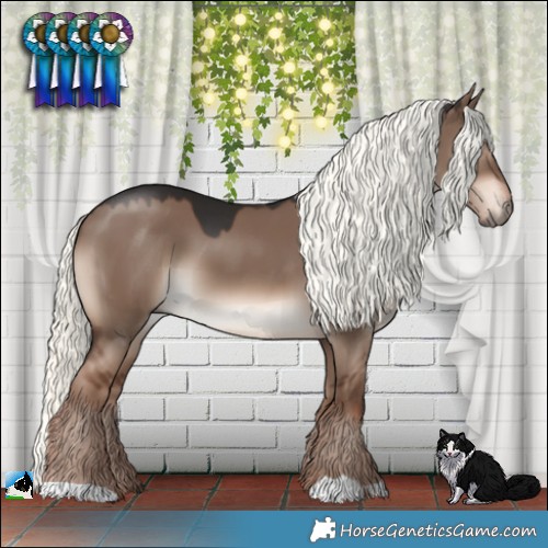 Horse Color:Liver Red Dun Mushroom 