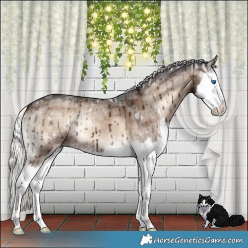 Horse Color:Liver Red Dun Ice Onyx Mushroom Sabino Splash Brindle