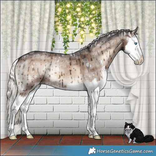 Horse Color:Liver Red Dun Ice Onyx Mushroom Sabino Splash Brindle