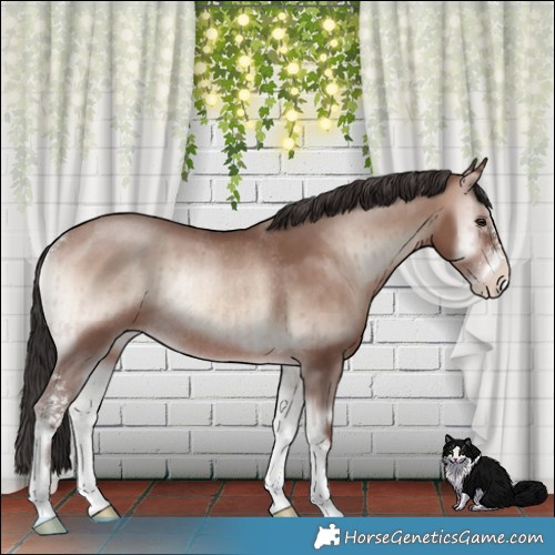 Horse Color:Sable Champagne Onyx Mushroom Sabino Rabicano Brindle