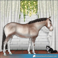 Horse Color:Sable Champagne Onyx Mushroom Sabino Rabicano Brindle 