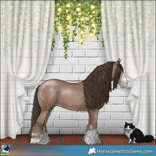 Horse Color:Classic Champagne Mushroom