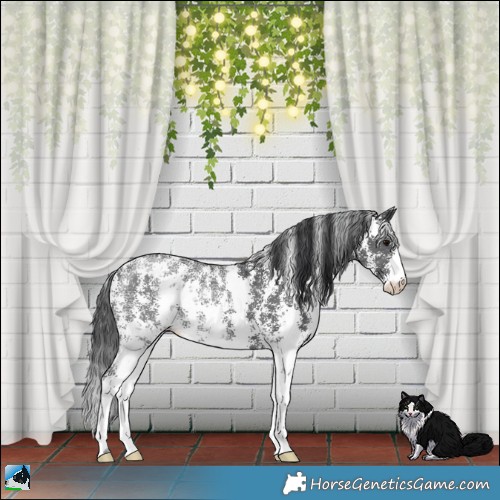 Horse Color:Black Ice Mushroom Sabino Rabicano