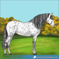 Horse Color:Bay Roan Mushroom Near Leopard