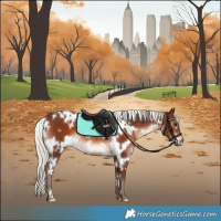 Horse Color:White Spotted Silver Bay Rabicano 