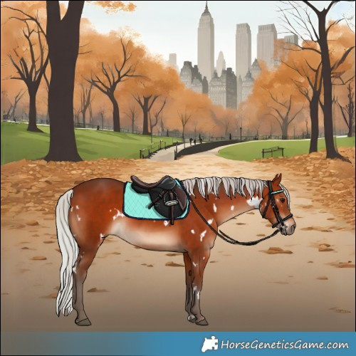 Horse Color:White Spotted Silver Brown