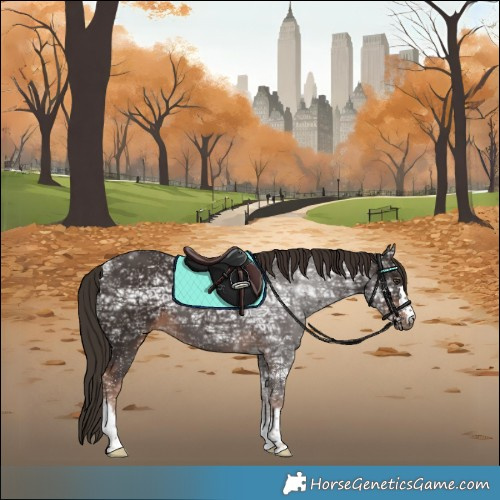 Horse Color:Liver Chestnut Ice 