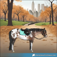 Horse Color:Brown Tobiano Appaloosa Rabicano