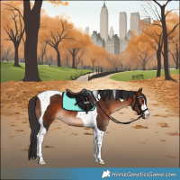 Horse Color:Bay Tobiano 