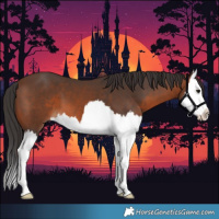 Horse Color:Brown Splash 