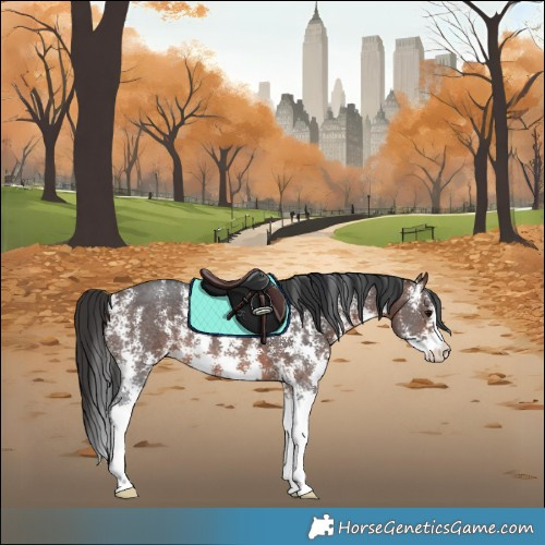 Horse Color:Brown Sabino 