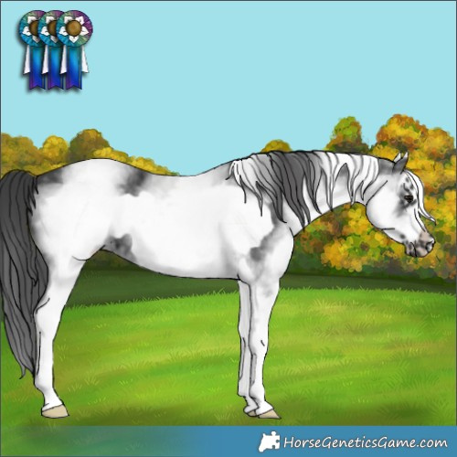 Horse Color:White Spotted Black Frame 