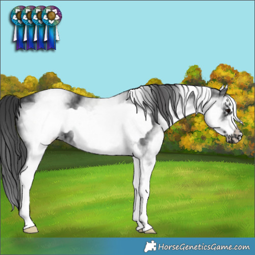 Horse Color:White Spotted Black Frame 