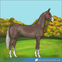Horse Color:Silver Black 