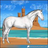 Horse Color:White Spotted Amber Champagne Splash and White Spotted Amber Champagne Splash