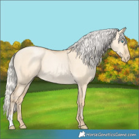 Horse Color:Silver Smoky Grullo Pearl Rabicano