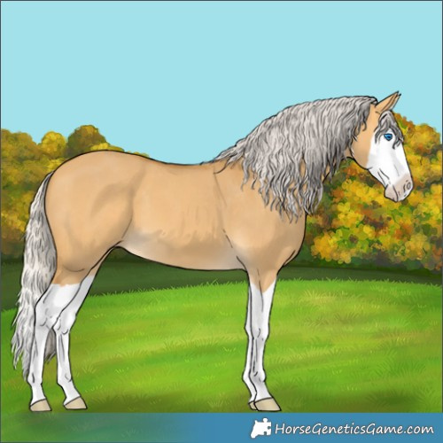 Horse Color:Silver Buckskin Dun Splash